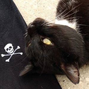 Meet your Posher, Emma